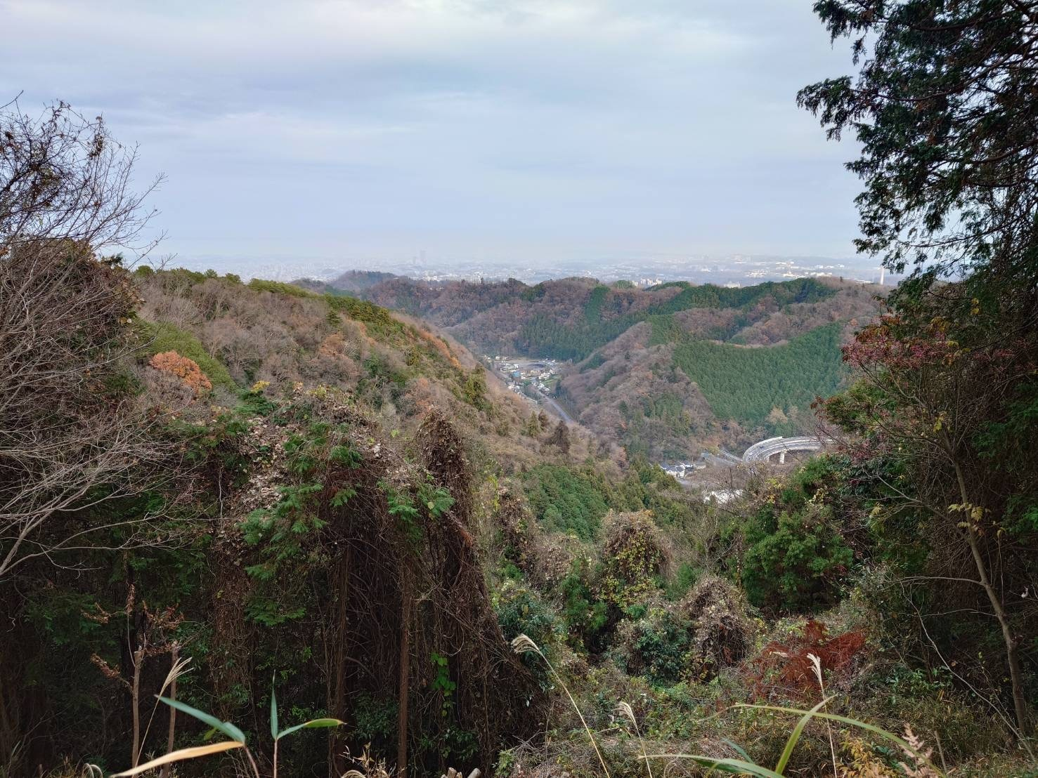 2025 高尾山　景色jpg